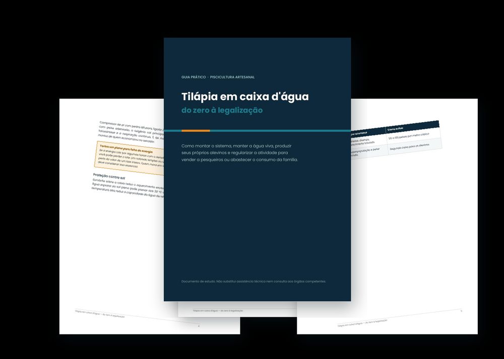 Guia Tilápia em Caixa d'Água — páginas do material